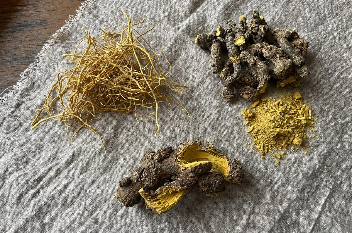 Golden thread, goldenseal and Oregon grape root on linen