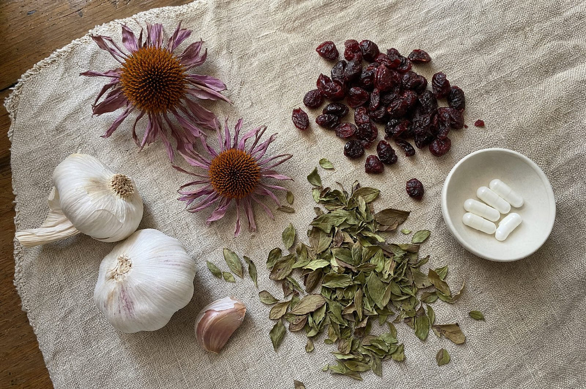 Echinacea, garlic, cranberries, blueberry leaf and zinc capsules on linen