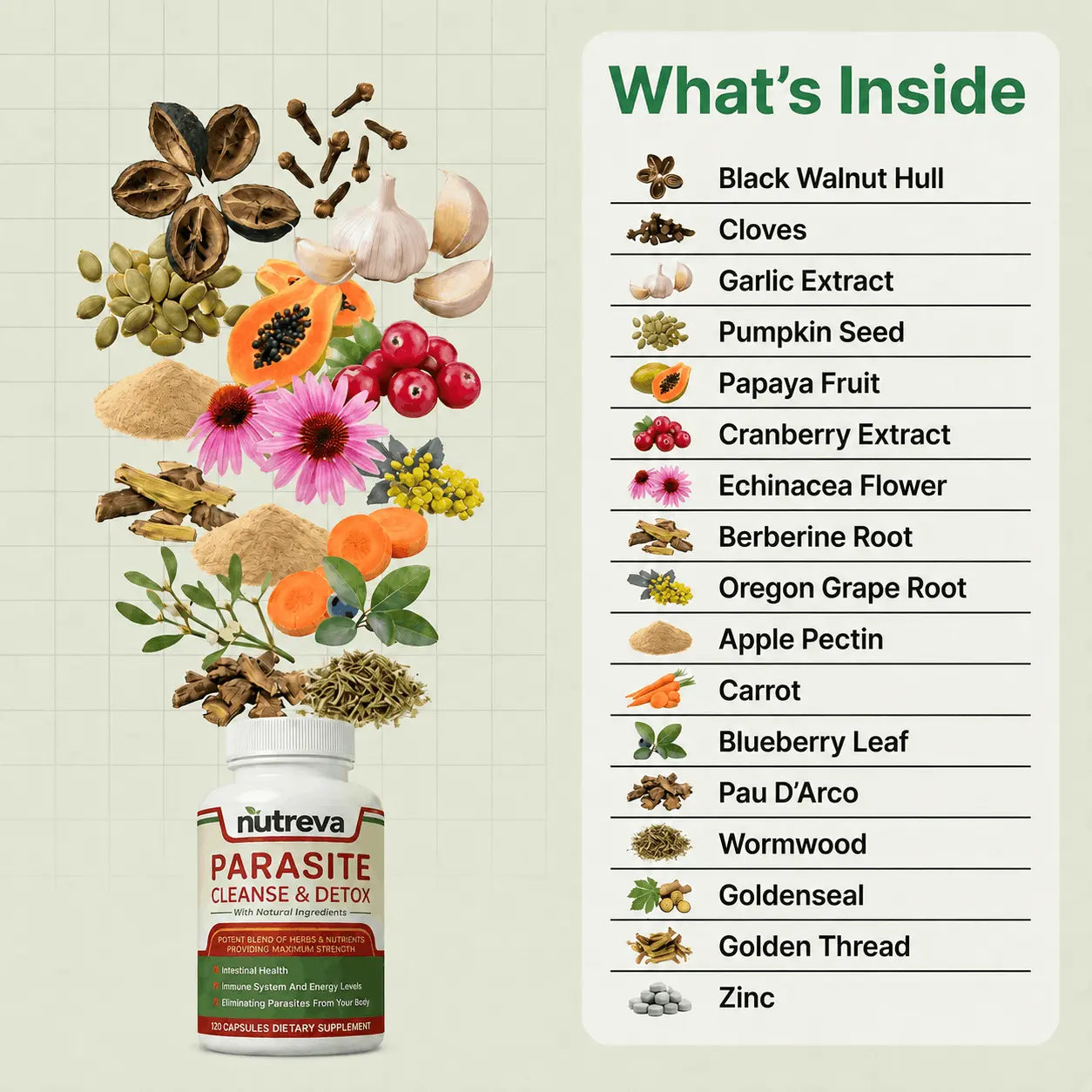 Parasite Cleanse & Detox